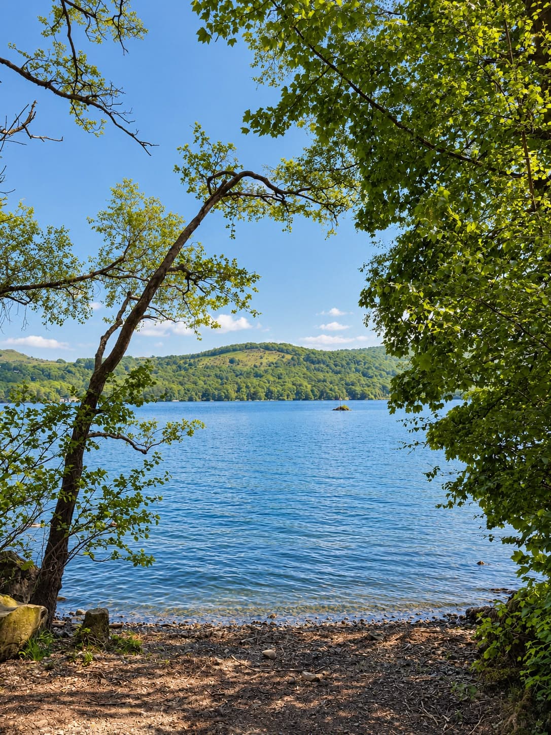 Windermere on a bright summer's day, framed by lakeside trees, the wooded fells and a small island across the water