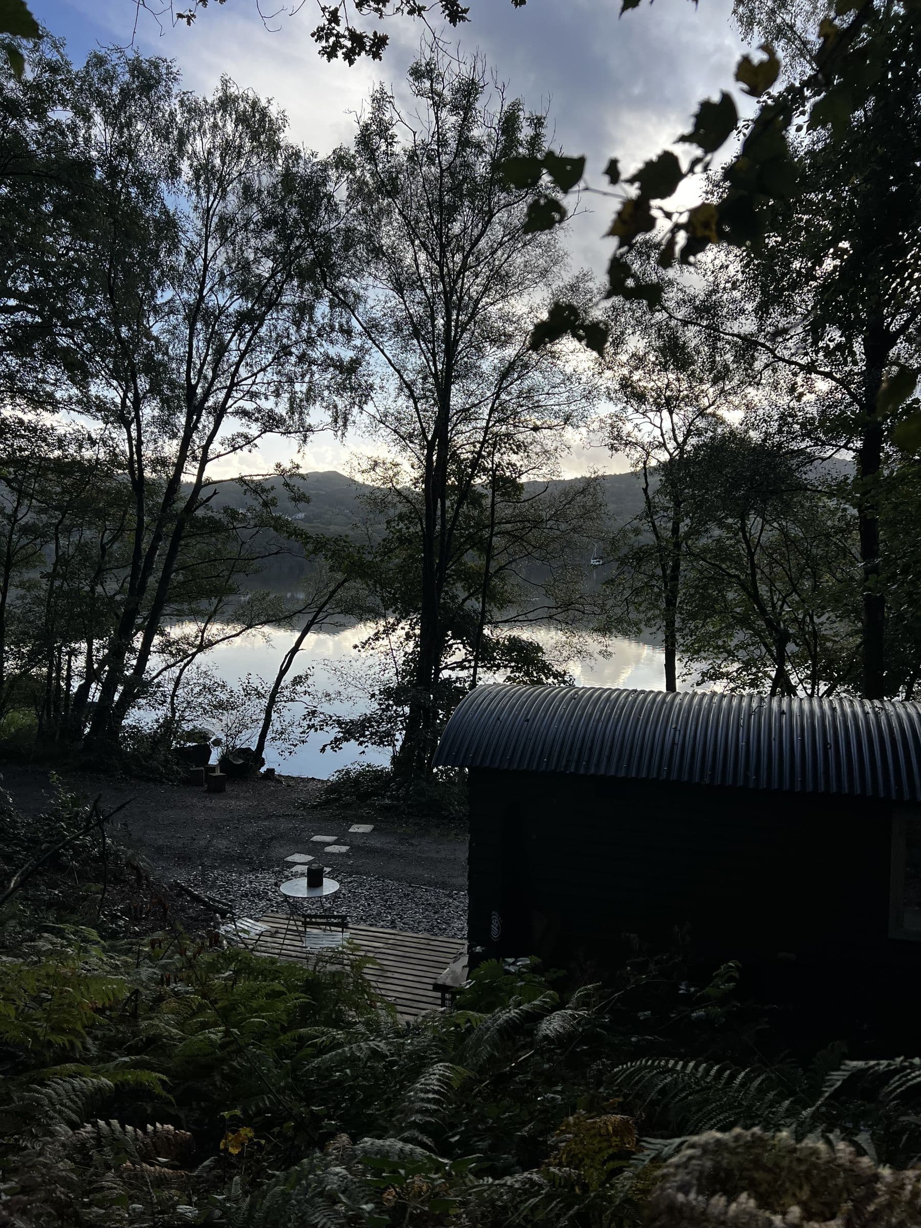 Tall trees at dusk against the lake, the sauna's curved roof and the ferns in the foreground